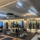 TEMPLE GYM (템플짐) | 경성대 저렴한 헬스장 경성대 헬스 부경대 헬스 경대헬스
