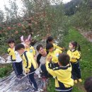 상사화피는마을 이미지