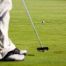 파로가 스크린 골프 이미지