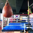 백프로 복싱체육관 | 목동 다이어트 복싱 취미 운동 백프로복싱장 추천 목동역 근처