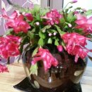 들꽃향기민박 이미지