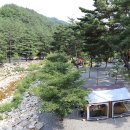 백년펜션 야영장 이미지