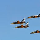 블랙이글 이미지