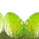 봉화산벨라시티공인중개사사무소 이미지