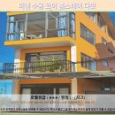 코이 | 달랏 미엔 수옹 코이 홈스테이 후기: 인생 숙소 등극! 추천