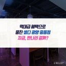 셀디스터디카페광양