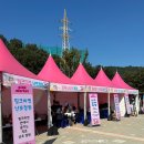 합천관광휴게소 | 대구 근교 합천 핑크뮬리 코스모스 아스타 국화를 한 곳에서 | 신소양체육공원