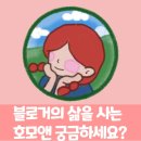 블로그 서로 이웃 구독자 1000명이 되다. &#34;이제 겨우?&#34; 혹은 &#34;그래도 이만큼이나?&#34; 왕거북이의 정리