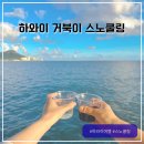하와이 거북이 스노쿨링 선셋 내돈내산 후기 장비 수영복 준비물 멀미