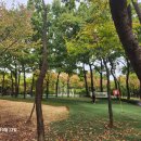 은빛77번길 이미지