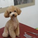 멍이랑 양이랑 이미지