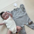 닥스베이비 이미지