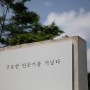 제주 자연속에서 이미지