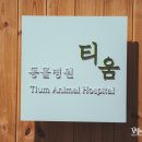 티움동물병원 이미지