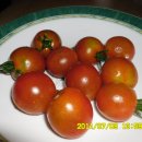 꽃길만두 이미지