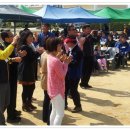 금성중학교 이미지