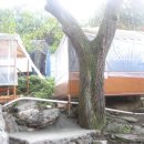 소백민박 이미지