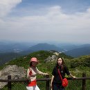 덕유대풀옵션 이미지