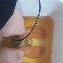 발이야기 이미지