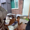 팔경가든 이미지