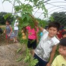 은실농장 이미지