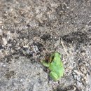 세그루 게스트하우스 이미지