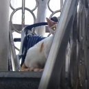 오산대원초등학교 이미지