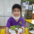 대구효령초등학교 이미지