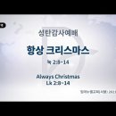 7/27(수) 항상 크리스마스 이미지