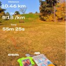 시민운동장 유소년축구장 | 2025 서울시민건강마라톤대회 10km 하늘이랑 참가후기 송파여성축구장 주차