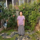 금빛빵집 - 고양시 일산서구 일산로636번길 15-1 | 금빛빵집