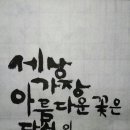 율원 이미지