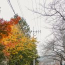 여좌동태탕 이미지