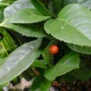 우리꽃집 이미지