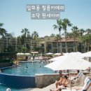 [일회용 필름카페라] 코닥 펀세이버 현상 후기(필름 현상 우성상사)