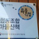 협동조합 마을산책 이미지