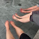 척산족욕체험장 | 피로가 싸악 풀어지는 척산족욕체험장 후기 무료로 즐기기