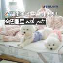 650 | 경동 나비엔 숙면매트 with PET 내돈내산 후기 (EME650D)