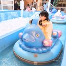 아쿠아플러스(주) 금천점 | 금천구 가산 아쿠아리움 아쿠아밸리 키즈카페 내돈내산