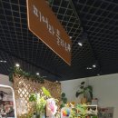 피어라플라워