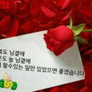 천안축구센터 이미지