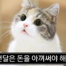 퍼플그레이 이미지