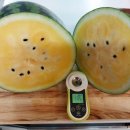 골드아시아마트 이미지