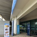 용인미르스타디움 네이버블로그