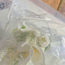 디저트39(용인김량장점) 이미지