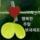 중2동-28 티스토리