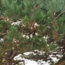 수원-1117 이미지