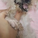 예은병원 네이버블로그