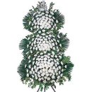 봉서2리 이미지