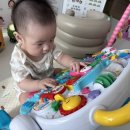 코니베니 | [육아일기] 6개월 아기 용꾸 201~203일차 기록 | 에듀테이블 워커, 위글위글 머리 쿵 쿠션, 초기 이유식...